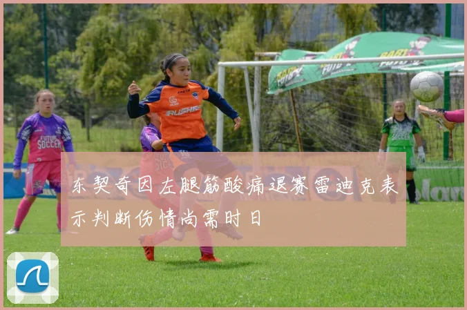 东契奇因左腿筋酸痛退赛雷迪克表示判断伤情尚需时日